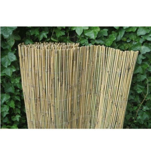 deed het Besparing protest Bamboe oriental 8-10mm dik geweven rol afm. 175x300cm | Bouwmax.nl